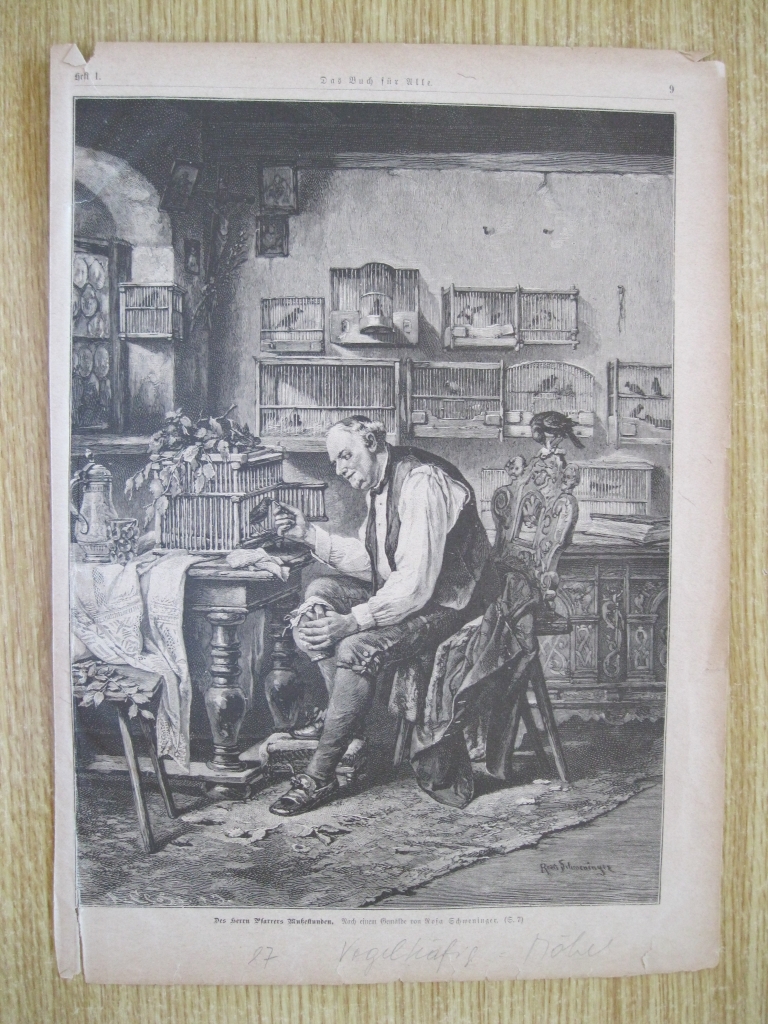 El coleccionista de pájaros, 1887